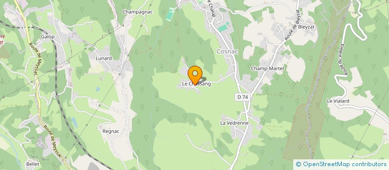 localisation de l'entreprise MADAME CELINE CHASSAGNE  COSNAC