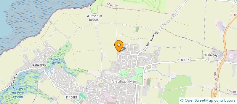 localisation de l'entreprise MADAME CELINE CHOUKAIR  NIEUL-SUR-MER