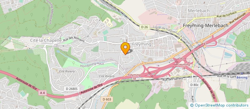 localisation de l'entreprise MADAME CELINE DELAHAYE  FREYMING-MERLEBACH