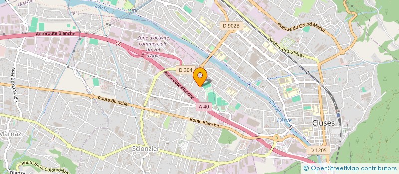 localisation de l'entreprise MADAME CELINE DELHOMMELLE  SCIONZIER