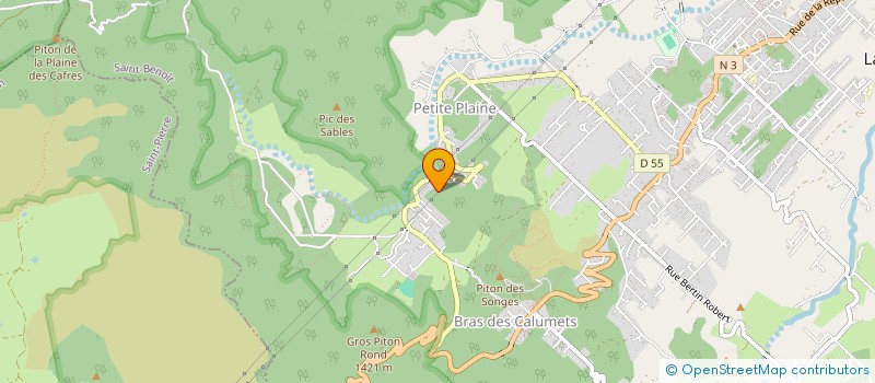 localisation de l'entreprise MADAME CELINE DIJOUX à LA PLAINE-DES-PALMISTES