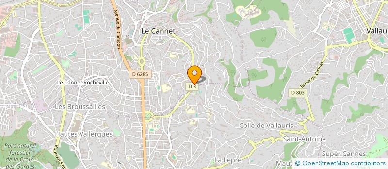 localisation de l'entreprise MADAME CELINE DRAILLARD à LE CANNET