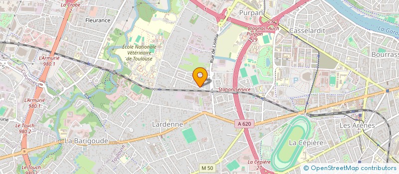 localisation de l'entreprise MADAME CELINE FERNANDEZ  TOULOUSE