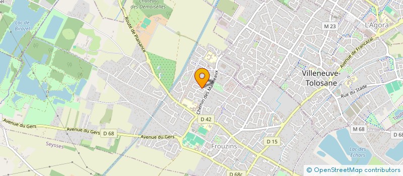 localisation de l'entreprise MADAME CELINE FERRAND  FROUZINS