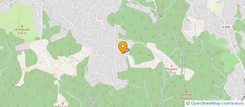 localisation de l'entreprise MADAME CELINE FRIBOURG  PEYMEINADE