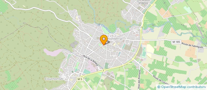 localisation de l'entreprise MADAME CELINE GEENENS  MONTPELLIER