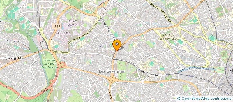 localisation de l'entreprise MADAME CELINE GROSJEAN à MONTPELLIER