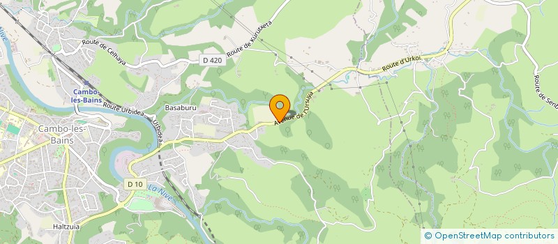 localisation de l'entreprise MADAME CELINE HIRIGOYEN à CAMBO-LES-BAINS