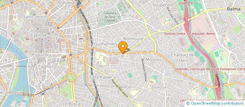 localisation de l'entreprise MADAME CELINE LARRIBERE  TOULOUSE