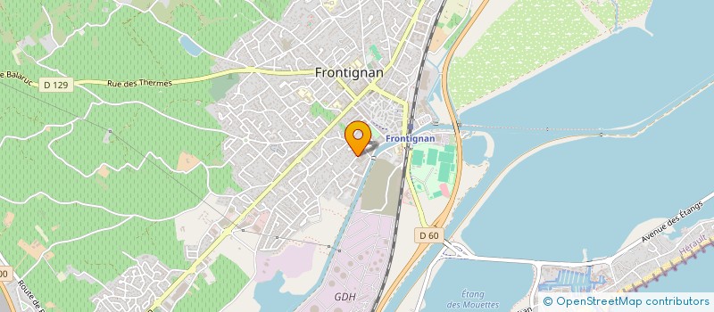 localisation de l'entreprise MADAME CELINE LAURENS à FRONTIGNAN