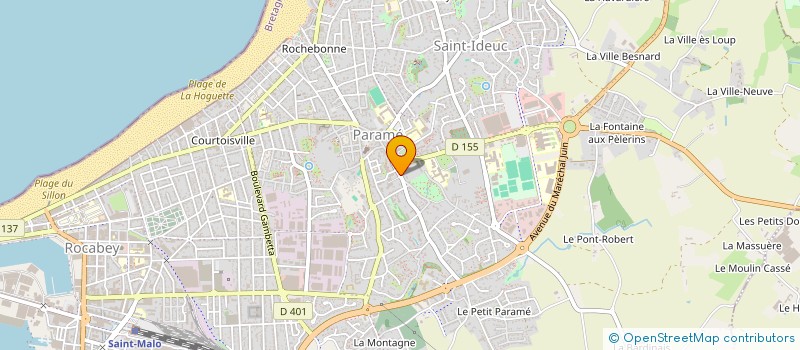 localisation de l'entreprise MADAME CELINE LEBRISSE  SAINT-MALO