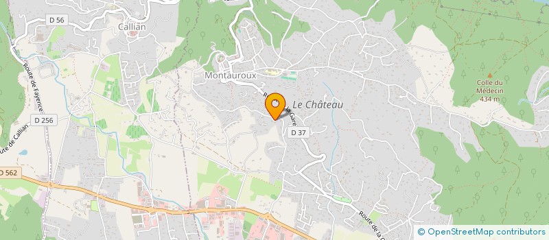 localisation de l'entreprise MADAME CELINE MARCHADIER  MONTAUROUX