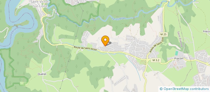 localisation de l'entreprise MADAME CELINE MARIANI  SAINT-ETIENNE