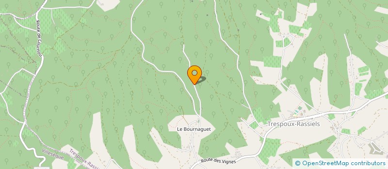 localisation de l'entreprise MADAME CELINE MARIERA  TRESPOUX-RASSIELS