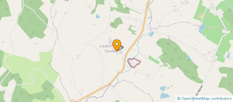 localisation de l'entreprise MADAME CELINE METIVIER  CAUBON-SAINT-SAUVEUR