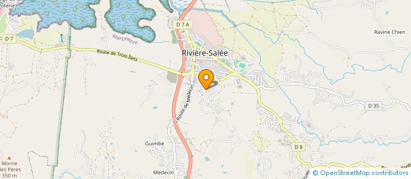 localisation de l'entreprise MADAME CELINE MINCHACA  RIVIERE-SALEE