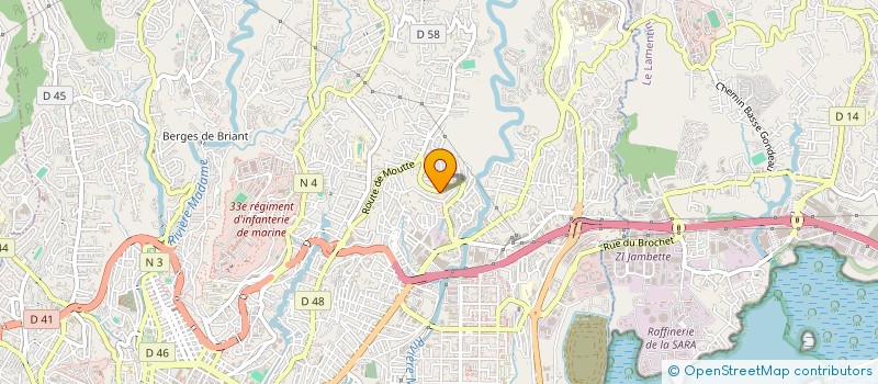 localisation de l'entreprise MADAME CELINE MONTANTIN  FORT-DE-FRANCE