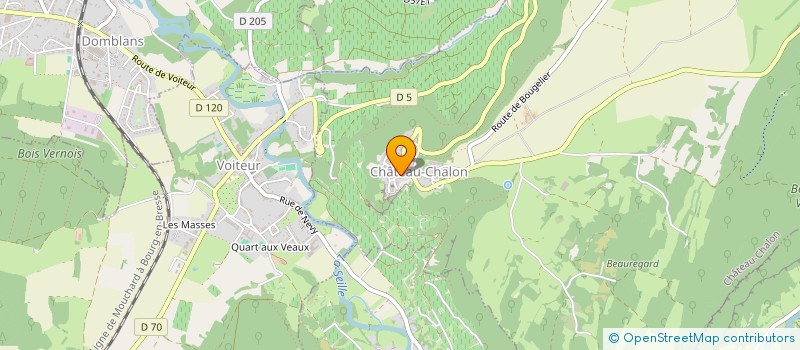 localisation de l'entreprise MADAME CELINE MOSSU  CHATEAU-CHALON