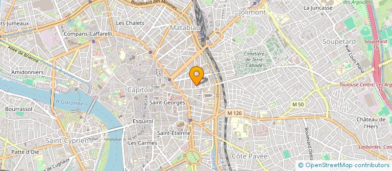 localisation de l'entreprise MADAME CELINE NICOLINI à TOULOUSE