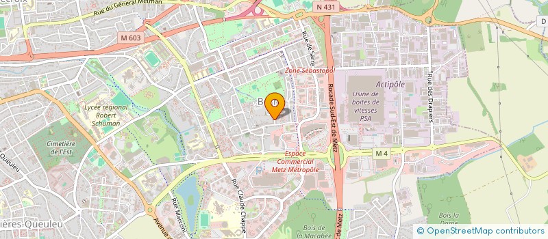 localisation de l'entreprise MADAME CELINE OZSOY  METZ