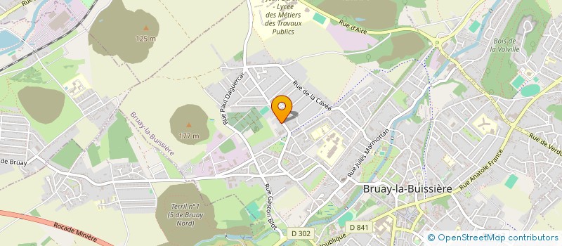 localisation de l'entreprise MADAME CELINE PARRENNES  BRUAY-LA-BUISSIERE