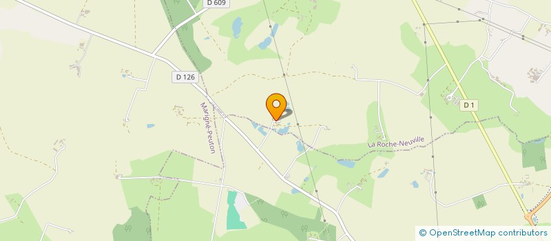 localisation de l'entreprise MADAME CELINE PLANCHENAULT  LA ROCHE-NEUVILLE