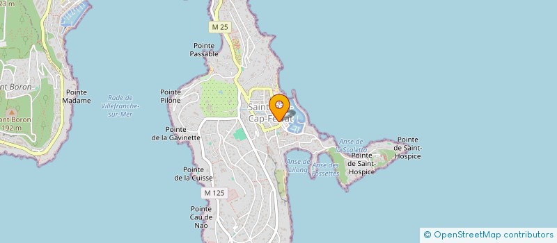 localisation de l'entreprise MADAME CELINE POLETTI  SAINT-JEAN-CAP-FERRAT