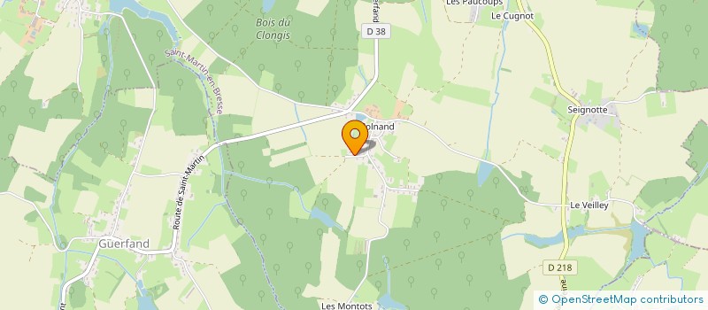 localisation de l'entreprise MADAME CELINE REBILLARD  SAINT-MARTIN-EN-BRESSE