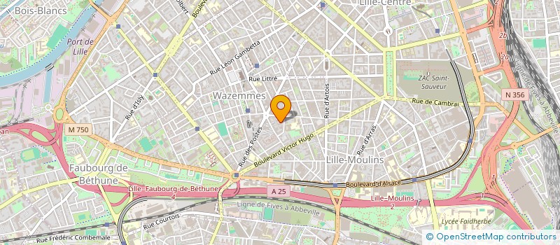 localisation de l'entreprise MADAME CELINE REYNAUD  LILLE