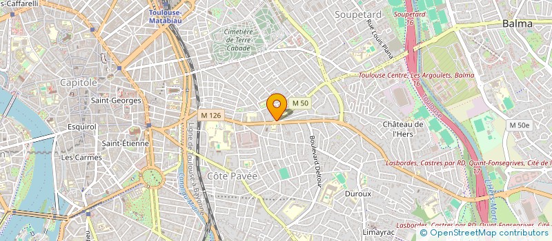 localisation de l'entreprise MADAME CELINE SALVI  TOULOUSE