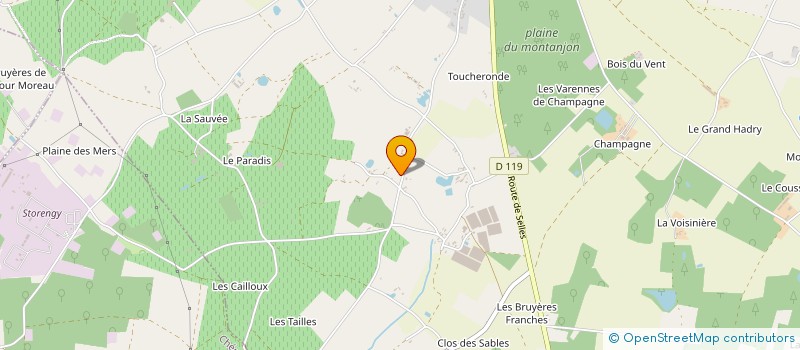 localisation de l'entreprise MADAME CELINE SAUGER  SOINGS-EN-SOLOGNE