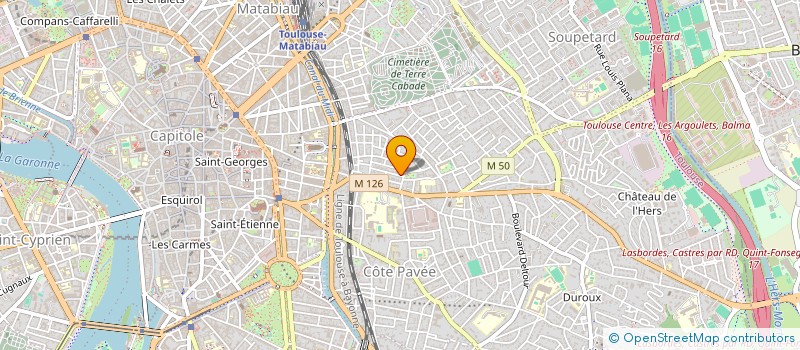 localisation de l'entreprise MADAME CELINE SAVONET à TOULOUSE