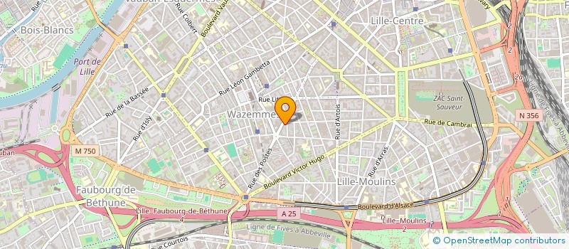 localisation de l'entreprise MADAME CELINE SCHLOSSER  LILLE