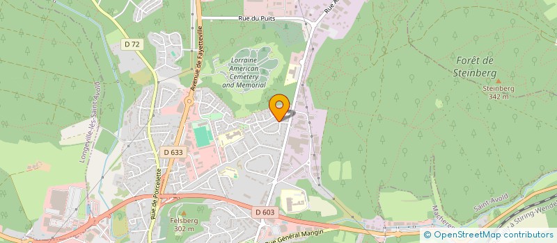 localisation de l'entreprise MADAME CELINE SCHMITT  SAINT-AVOLD