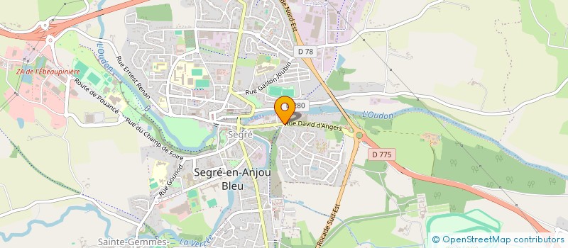 localisation de l'entreprise MADAME CELINE SEJOURNE  SEGRE-EN-ANJOU BLEU