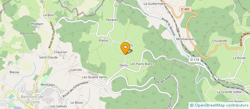 localisation de l'entreprise MADAME CELINE TACHON à BELMONT-DE-LA-LOIRE
