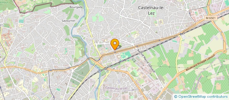 localisation de l'entreprise MADAME CELINE TALLEU à CASTELNAU-LE-LEZ