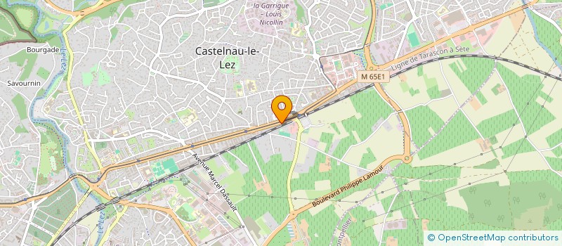 localisation de l'entreprise MADAME CELINE TARREGA à CASTELNAU-LE-LEZ