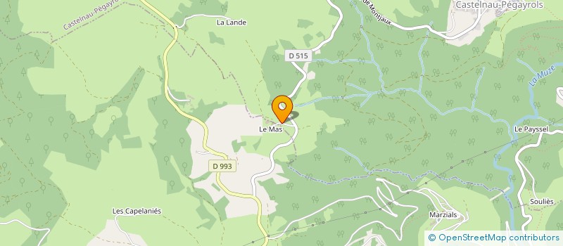 localisation de l'entreprise MADAME CELINE THOMASSET  SAINT-BEAUZELY