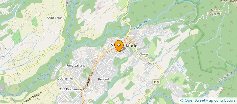 localisation de l'entreprise MADAME CELINE TRUONG à SAINT-CLAUDE