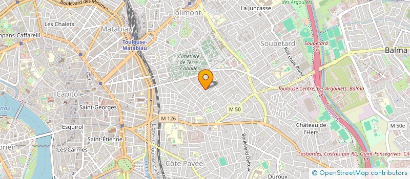 localisation de l'entreprise MADAME CELINE VANDERKELEN  TOULOUSE