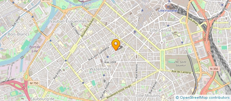 localisation de l'entreprise MADAME CELINE VISSE à LILLE