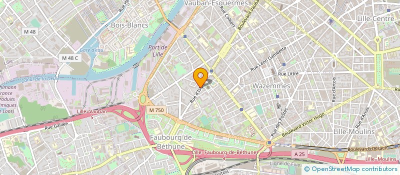 localisation de l'entreprise MADAME CELINE VITTU à LILLE