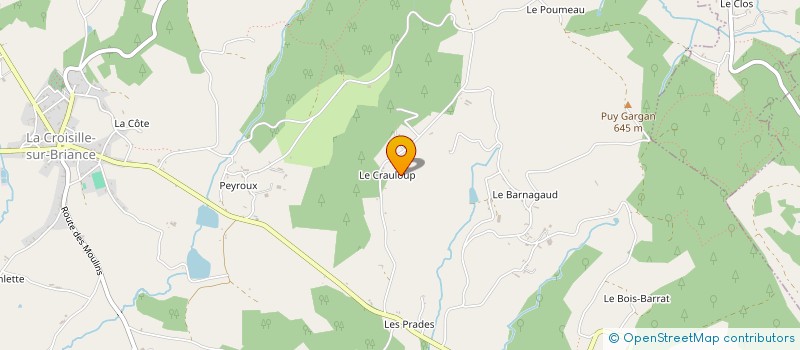localisation de l'entreprise MADAME CELINE WOJDOWSKI à LA CROISILLE-SUR-BRIANCE