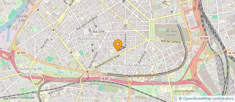 localisation de l'entreprise MADAME CELLIA LAGACHE à LILLE
