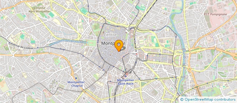 localisation de l'entreprise MADAME CESARINA FELIZ MARTINEZ à MONTPELLIER