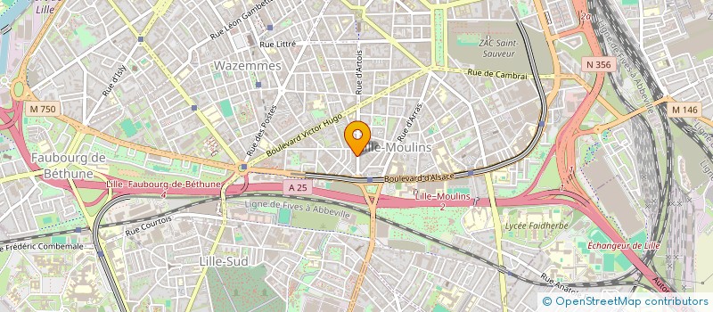 localisation de l'entreprise MADAME CHADIA EL AMRANI à LILLE