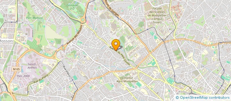localisation de l'entreprise MADAME CHAHINAZ DAIDI à MONTPELLIER