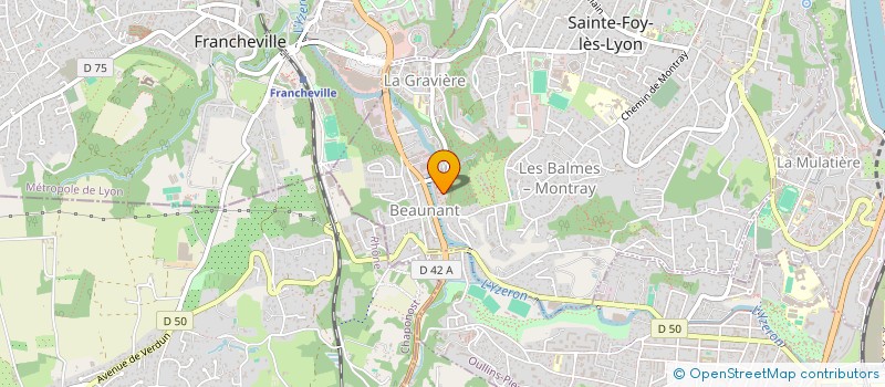 localisation de l'entreprise MADAME CHAHINEZE BETTAHAR  SAINTE-FOY-LES-LYON