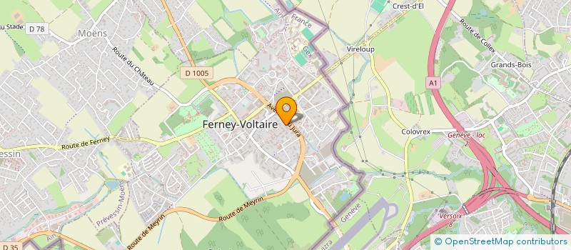 localisation de l'entreprise MADAME CHAIMA EL KHATTABI à FERNEY-VOLTAIRE